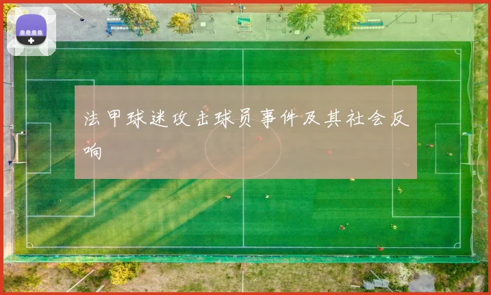 法甲球迷攻击球员事件及其社会反响