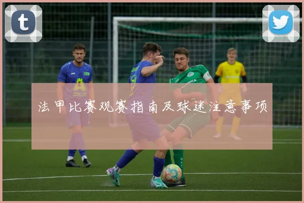 法甲比赛观赛指南及球迷注意事项