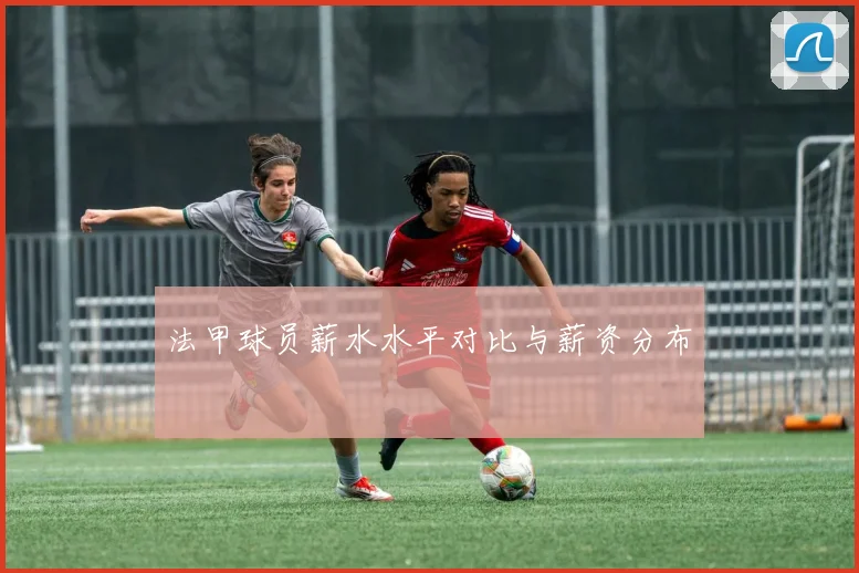 法甲球员薪水水平对比与薪资分布