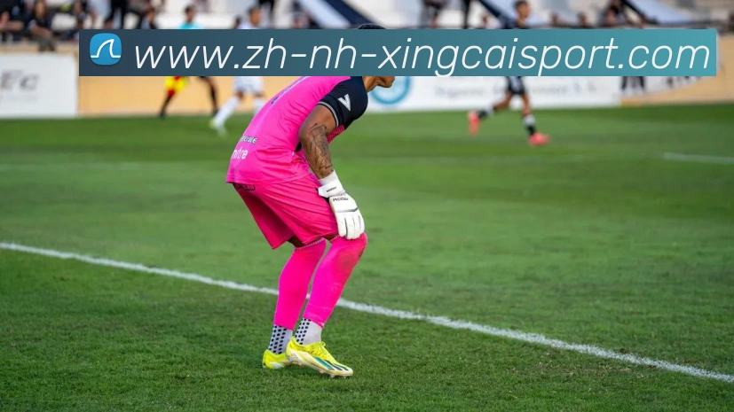 杏彩体育品牌故事