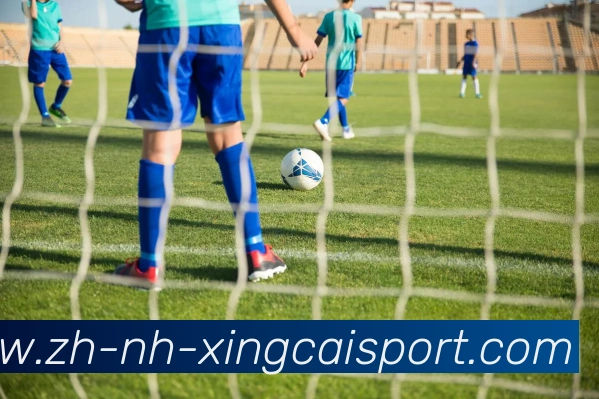 杏彩体育服务体系