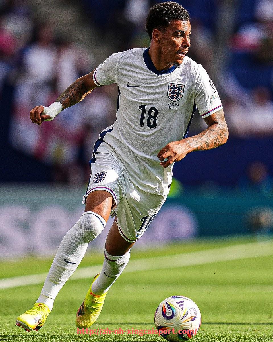 杏彩体育-法甲防守统计图表及防守表现技术数据分析